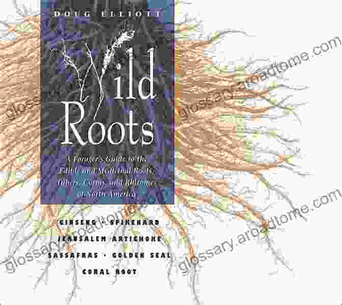 A Basket Filled With Edible And Medicinal Roots, Tubers, Corms, And Rhizomes Wild Roots: A Forager S Guide To The Edible And Medicinal Roots Tubers Corms And Rhizomes Of North America