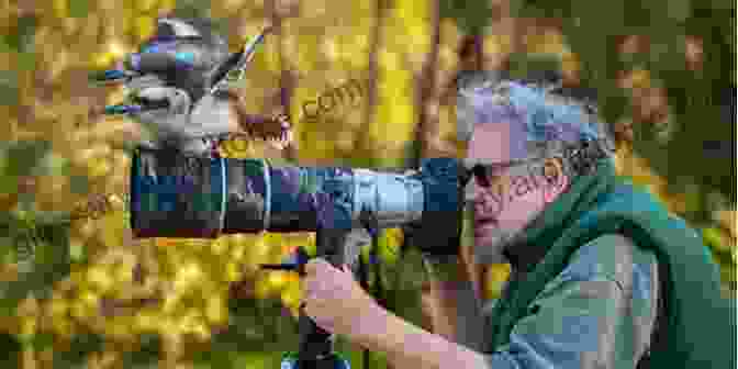 A Bird Photographer In Action Bird Planet: A Photographic Journey