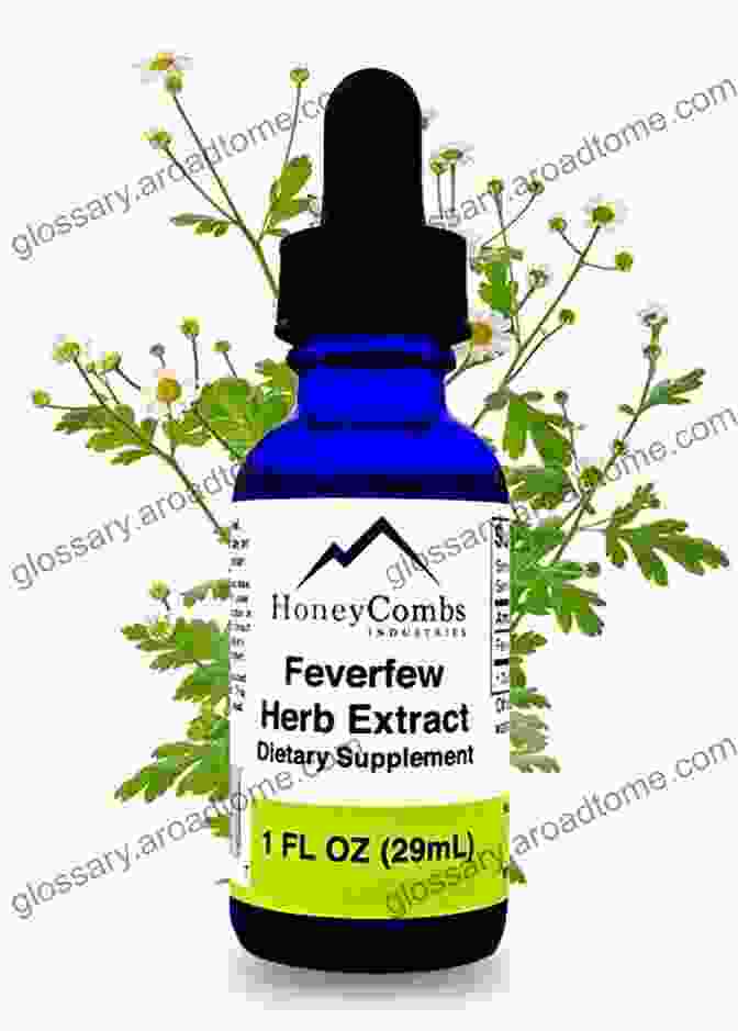 A Bottle Of Liquid Feverfew Extract, Surrounded By Fresh Feverfew Flowers And Leaves. Feverfew Herb Paradox Om Krishna Uprety