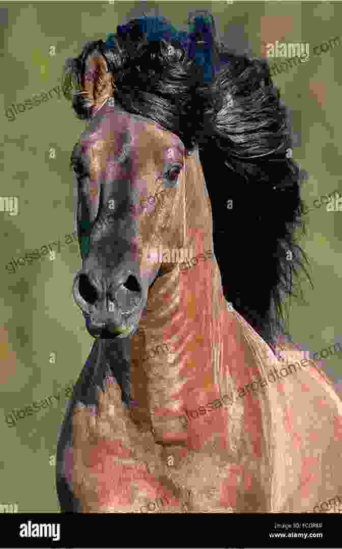 A Close Up Of A Wild Mustang, Its Mane Flowing In The Wind, Against A Backdrop Of Rugged Cliffs. Great Ranches Of Today S Wild West: A Horseman S Photographic Journey Across The American West