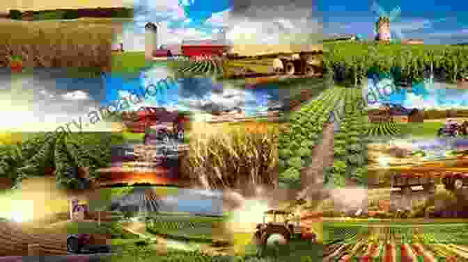 A Collage Of Images Depicting The Importance Of Farms, Including Food Production, Beekeeping, And Animal Care What Do I Get To See On The Farm? Was Gibt Es Auf Dem Bauernhof Zu Sehen?