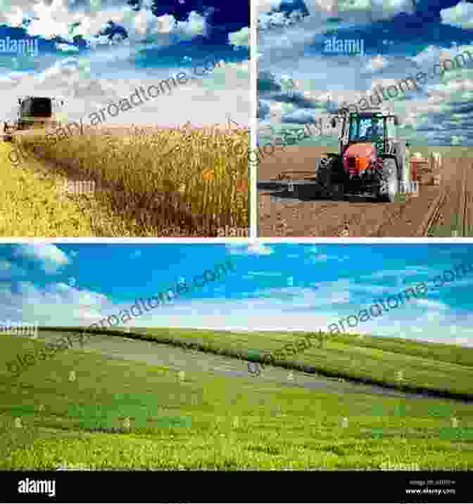 A Collage Of Images Depicting Various Farm Landscapes, Including A Field, Pond, Barn, And Garden What Do I Get To See On The Farm? Was Gibt Es Auf Dem Bauernhof Zu Sehen?