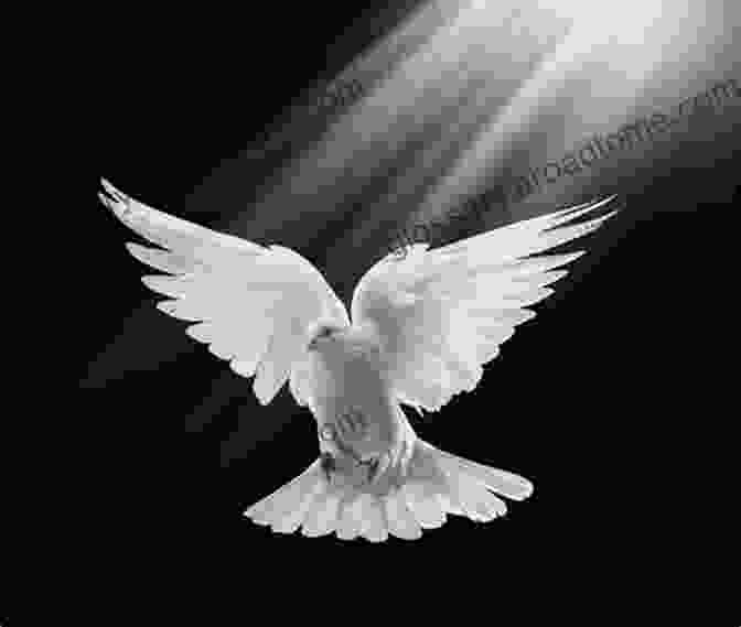 A Dove, Symbolizing The Holy Spirit's Presence And Power Recovering The Reformed Confession: Our Theology Piety And Practice