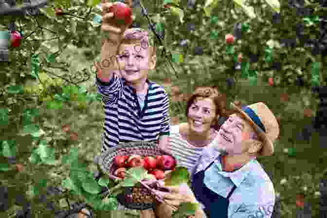 A Family Picking Ripe, Red Apples From A Tree In An Orchard What Do I Get To See On The Farm? Was Gibt Es Auf Dem Bauernhof Zu Sehen?