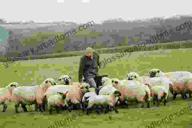 A Farmer Standing In A Pasture, Surrounded By A Flock Of Sheep, Checking On Their Well Being What Do I Get To See On The Farm? Was Gibt Es Auf Dem Bauernhof Zu Sehen?