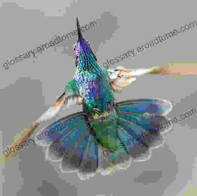 A Hummingbird In Flight Bird Planet: A Photographic Journey