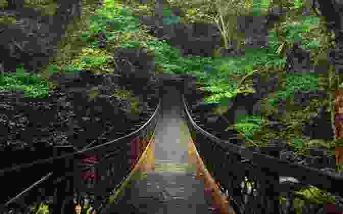 A Panoramic View Of A Picturesque Covered Bridge In A Tranquil Forest Setting New York Covered Bridges Harold Stiver