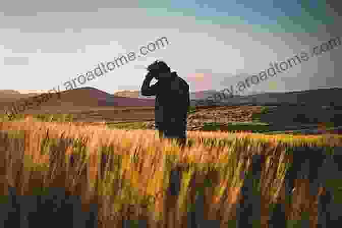 A Person Standing In A Field, Feeling Connected And At Peace Splits In The Soul: Integrating Traumatic Experiences