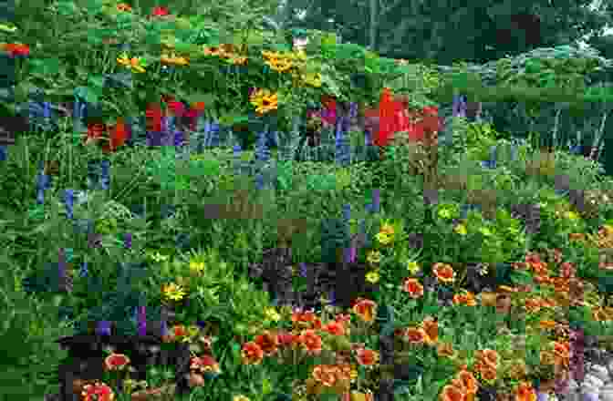 A Stunning Image Of A Diverse Array Of Plants, Showcasing The Beauty And Diversity Of The Plant Kingdom The Cheyenne Indians: Their History And Lifeways Edited And Illustrated (Library Of Perennial Philosophy)