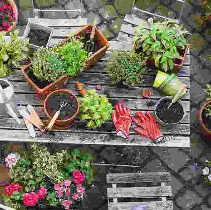 A Thriving Vegetable Garden Bursting With Fresh Produce, Including Tomatoes, Peppers, And Cucumbers What Do I Get To See On The Farm? Was Gibt Es Auf Dem Bauernhof Zu Sehen?