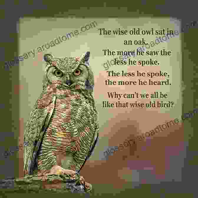 A Wise And Enigmatic Old Owl With A Deep Understanding Of The Forest And Its Secrets Postcards To Alice (PaleGale Adventures 1)