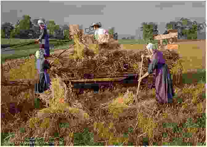 An Amish Family Working On Their Farm Living Without Electricity: Lessons From The Amish (People S Place 9)