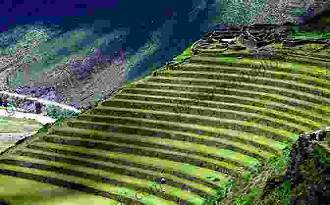 Ancient Agricultural Terraces In The Andes, Demonstrating The Ingenuity Of Early American Farmers Who Discovered America?: The Untold History Of The Peopling Of The Americas