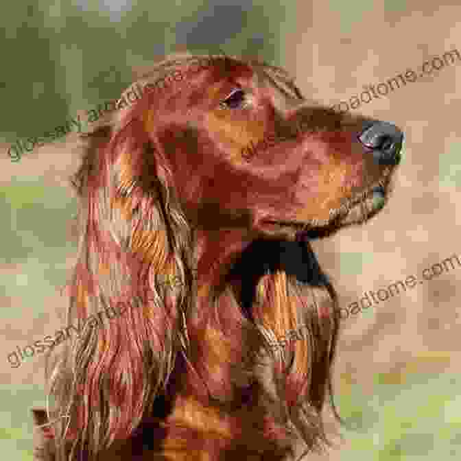 Book Cover Of Erin Go Bark, Featuring A Beautiful Red Irish Setter Erin Go Bark : Irish Dogs And Blessings