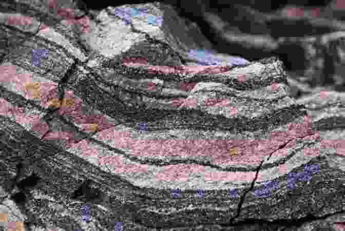 Colorful And Intricate Patterns Of Metamorphic Rocks, Capturing The Beauty Of Geological Transformations Metamorphic Rocks Galen Gruman