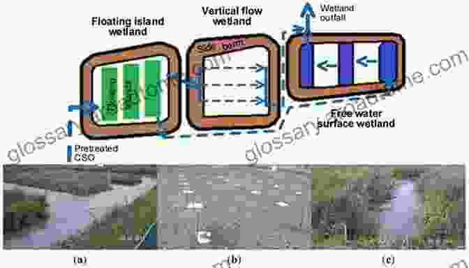 Constructed Wetlands Purifying Wastewater, Showcasing Lush Vegetation And Crystal Clear Water. Constructed Wetlands For Water Quality Improvement