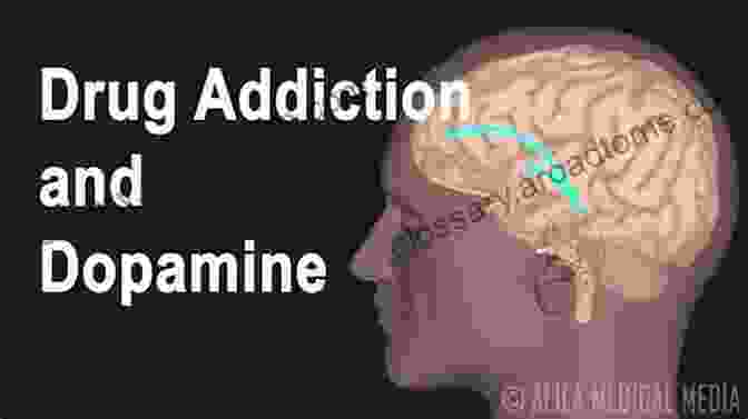 Diagram Illustrating The Brain's Reward Pathways And The Effects Of Drug Abuse. Drugs Addiction And The Brain