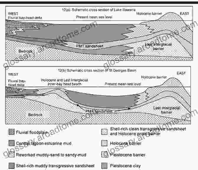 Diagram Illustrating The Holocene Sedimentary Evolution Of The Sunderban Thakuran Basin, Reconstructing Past Sea Levels, Vegetation Patterns, And Climatic Conditions. Tidal Sedimentation Of The Sunderban S Thakuran Basin (Springerbriefs In Earth Sciences)