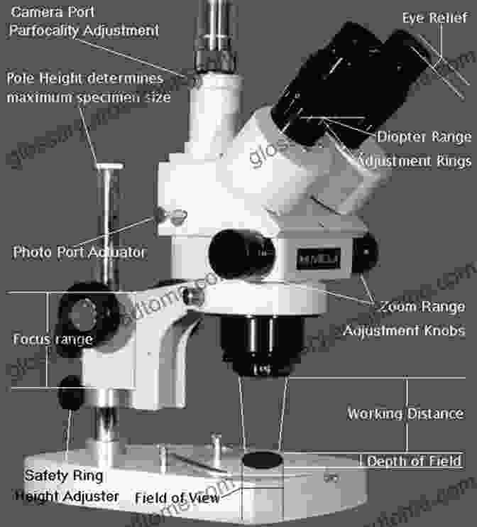 Extensive Glossary Of Microscopy Terms, Providing Clear Definitions And Pronunciations One Day In The Life Of The English Language: A Microcosmic Usage Handbook