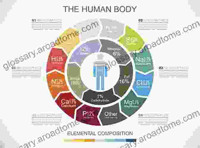 George Carey's Impact George W Carey Works (3 In 1): The Chemistry Of Human Life The Tree Of Life The Wonders Of The Human Body