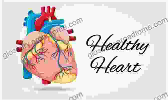 Illustration Of A Healthy Heart NO More Heart Disease: How Nitric Oxide Can Prevent Even Reverse Heart Disease And Strokes