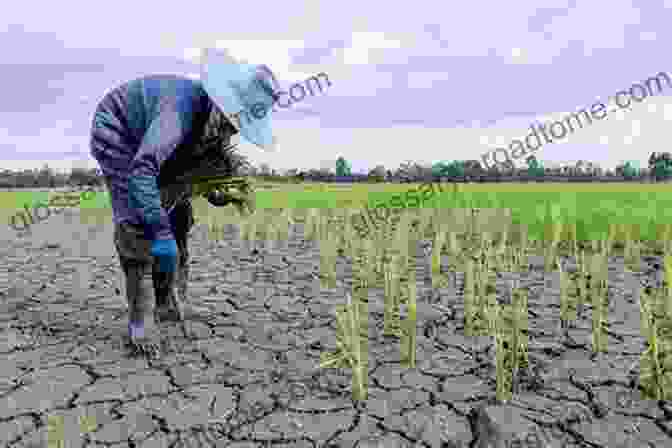 Image Of A Farmer Inspecting A Field Affected By Climate Change Climate Shock: The Economic Consequences Of A Hotter Planet