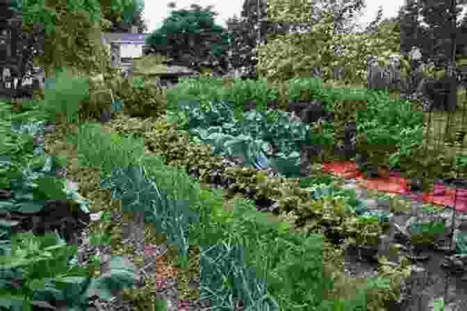 Image Of A Flourishing Vegetable Garden 10 Must Have Seeds In Times Of Crisis: Prepare For When SHTF: Grow Your Own Food: The Easiest Seeds To Grow Food From