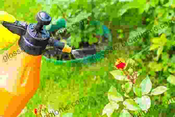 Image Of A Gardener Using Organic Pest Control Methods 10 Must Have Seeds In Times Of Crisis: Prepare For When SHTF: Grow Your Own Food: The Easiest Seeds To Grow Food From