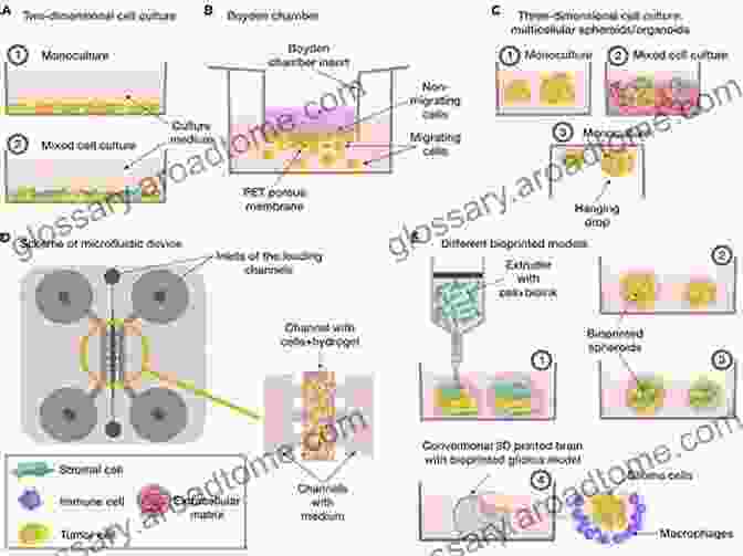 In Vitro Models, Such As Cell Cultures And Organoids, Provide A Reductionist Approach To Studying CNS Biology And Disease Mechanisms. Animal And Translational Models For CNS Drug Discovery Vol 2: Neurological DisFree Downloads