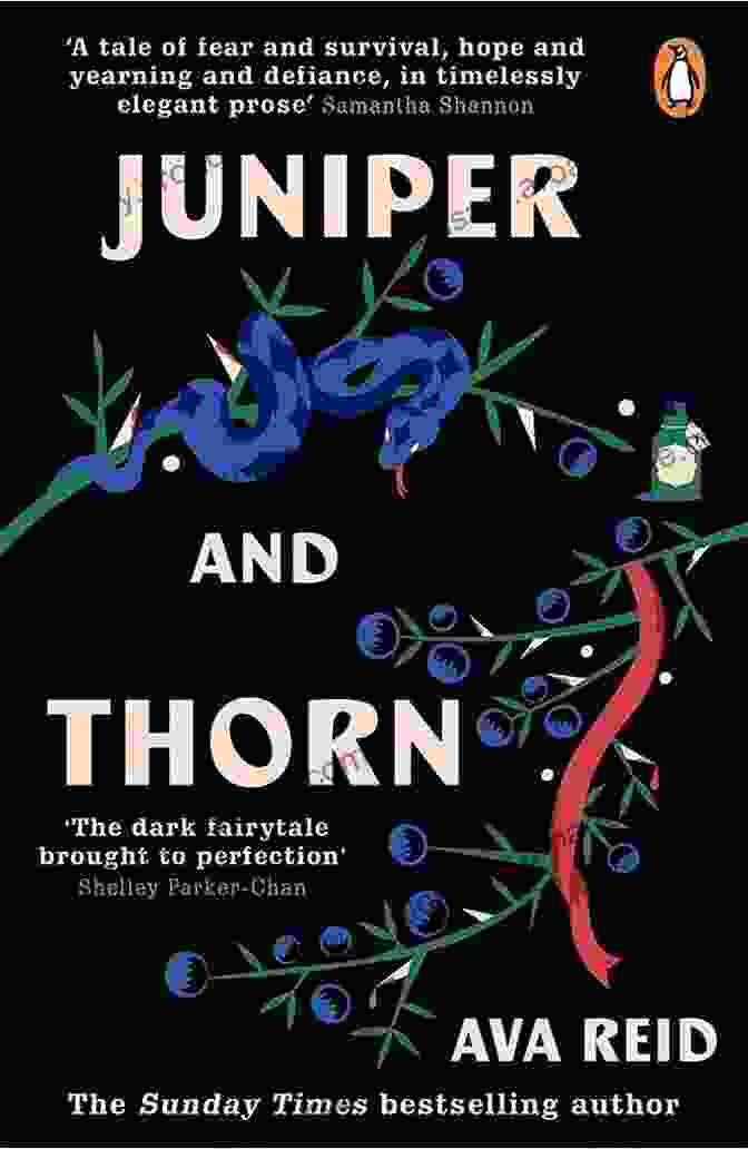 Juniper Thorn Book Cover Juniper Thorn: A Novel Ava Reid