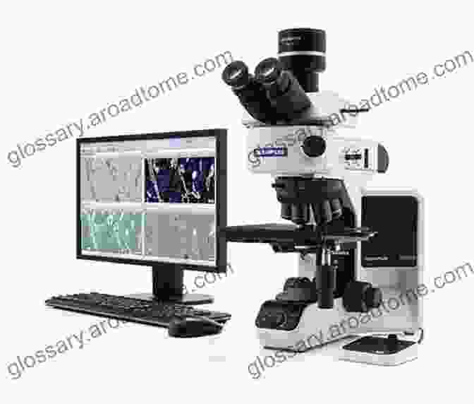 Microscope User Performing Maintenance Tasks, Ensuring Optimal Performance And Longevity Of The Instrument One Day In The Life Of The English Language: A Microcosmic Usage Handbook