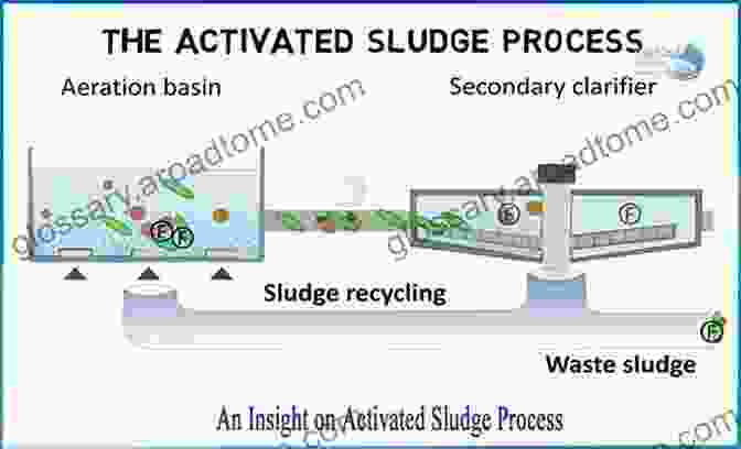 Nitrification In The Activated Sludge Process Nitrification And Denitrification In The Activated Sludge Process (Wastewater Microbiology)