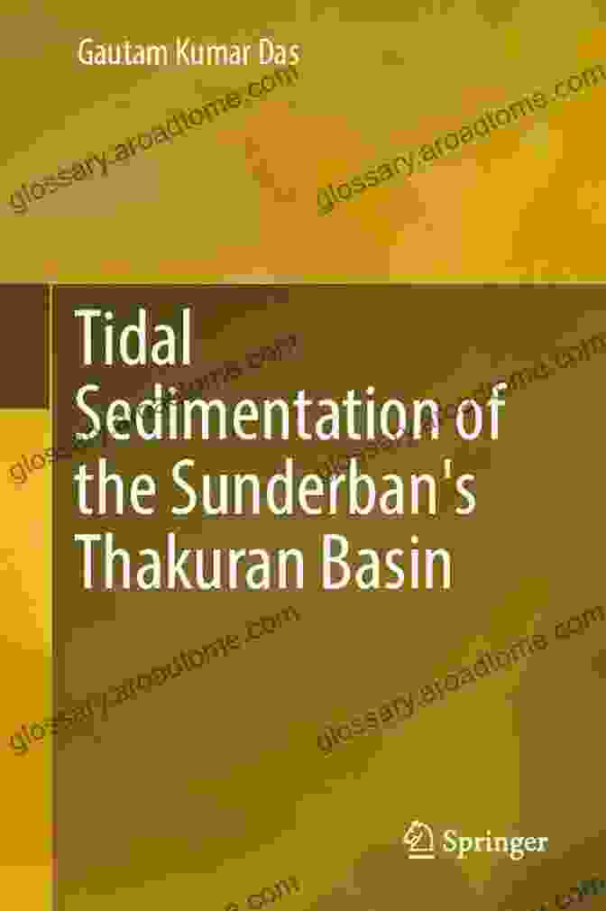 Photo Of Diverse Sedimentary Facies In The Sunderban Thakuran Basin, Including Tidal Flats, Salt Marshes, And Mangrove Forests. Tidal Sedimentation Of The Sunderban S Thakuran Basin (Springerbriefs In Earth Sciences)