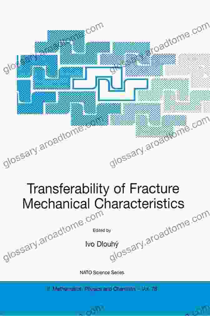 Proceedings Of The NATO Final Project Workshop On Fracture Resistance Of Steels Transferability Of Fracture Mechanical Characteristics: Proceedings Of The NATO Final Project Workshop On Fracture Resistance Of Steels For Containers Mathematics Physics And Chemistry 78)