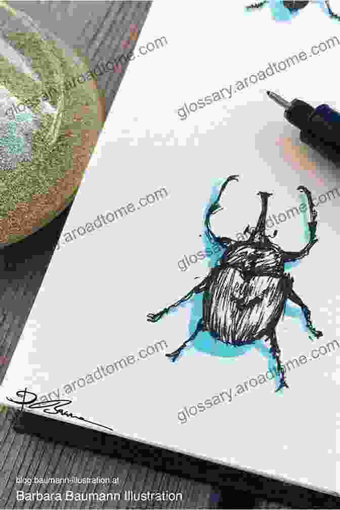 Sketching The Overall Shape Of A Beetle, Focusing On The Contours And Proportions. How To Draw A Beetle