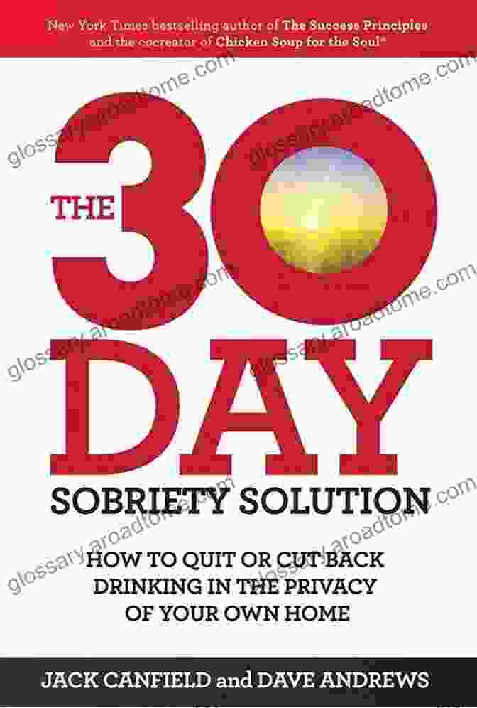 The 30 Day Sobriety Solution Book Cover The 30 Day Sobriety Solution: How To Cut Back Or Quit Drinking In The Privacy Of Your Own Home