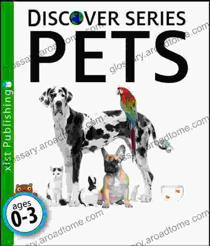 The Pets Discover Series By Kat Beyer Is An Enchanting Collection Of Books That Follow The Adventures Of A Diverse Group Of Pets As They Explore The Wonders Of Science, Nature, And The World Around Them. Pets (Discover Series) Kat Beyer