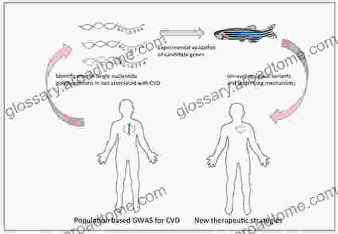 Zebrafish Models Are Used For Studying Early Disease Mechanisms And Screening For Potential Therapeutic Targets. Animal And Translational Models For CNS Drug Discovery Vol 2: Neurological DisFree Downloads