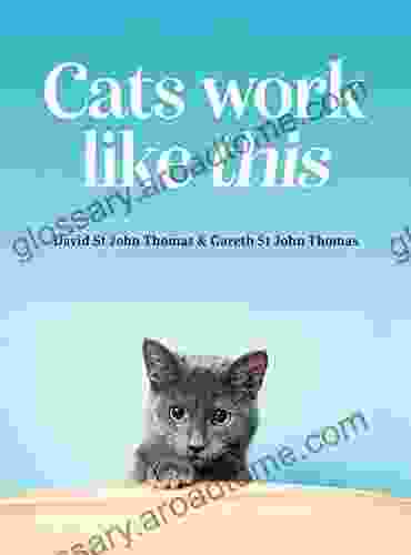 Cats Work Like This Gareth St John Thomas