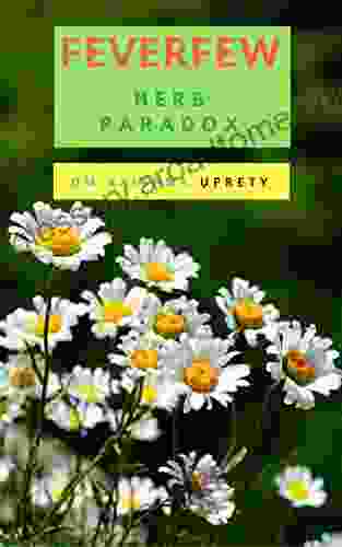 Feverfew Herb Paradox Om Krishna Uprety