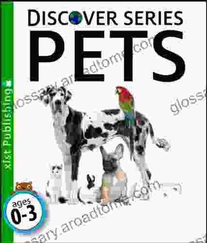 Pets (Discover Series) Kat Beyer