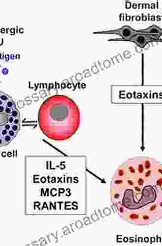 Eosinophils In Allergy And Inflammation (Clinical Allergy And Immunology 2)