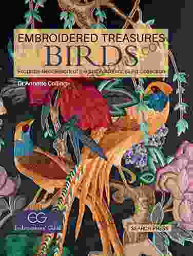 Embroidered Treasures: Birds: Exquisite Needlework Of The Embroiderers Guild Collection