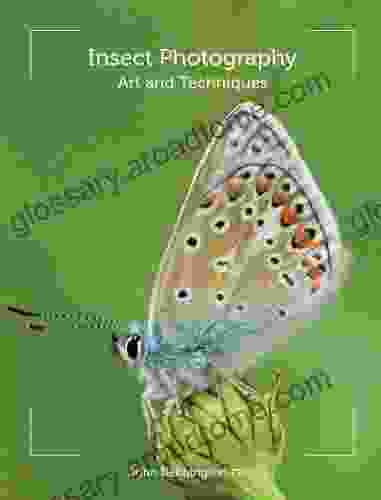 Insect Photography: Art And Techniques