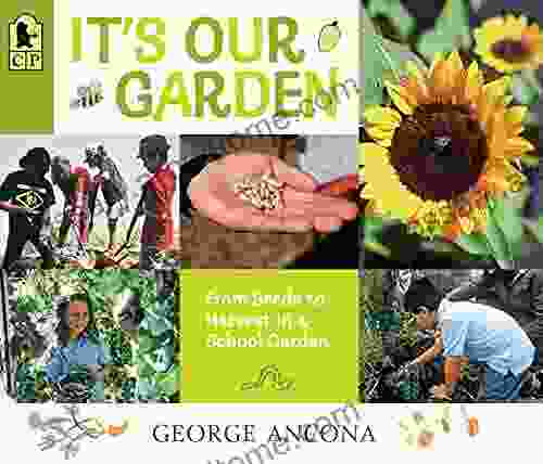 It S Our Garden: From Seeds To Harvest In A School Garden