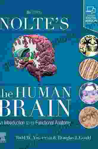 Nolte S The Human Brain In Photographs And Diagrams E Book: With STUDENT CONSULT Online Access