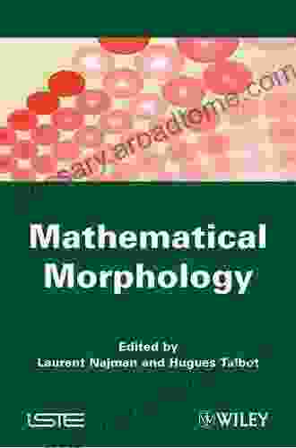 Mathematical Morphology: From Theory To Applications