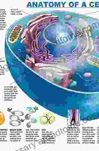 The Way Of The Cell: Molecules Organisms And The Order Of Life