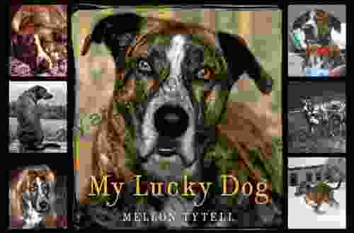 My Lucky Dog Mellon Tytell