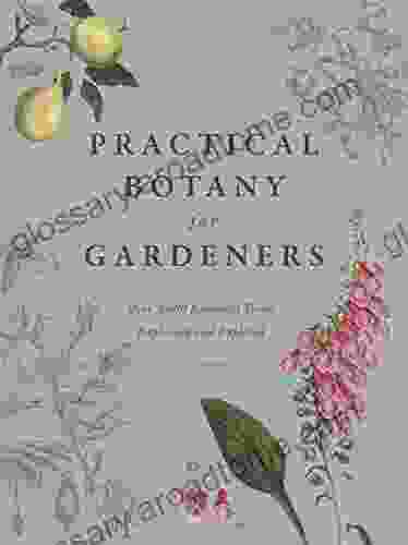 Practical Botany For Gardeners: Over 3 000 Botanical Terms Explained And Explored